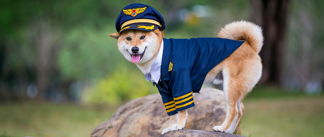 2025-01-14 Pet Dress Up Day-1
