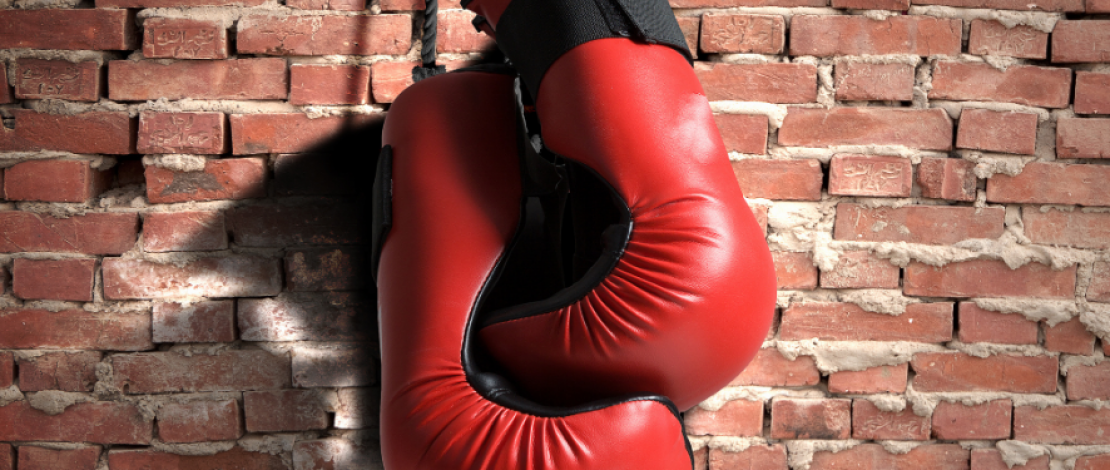 3.30.26 - Feedback or Fight