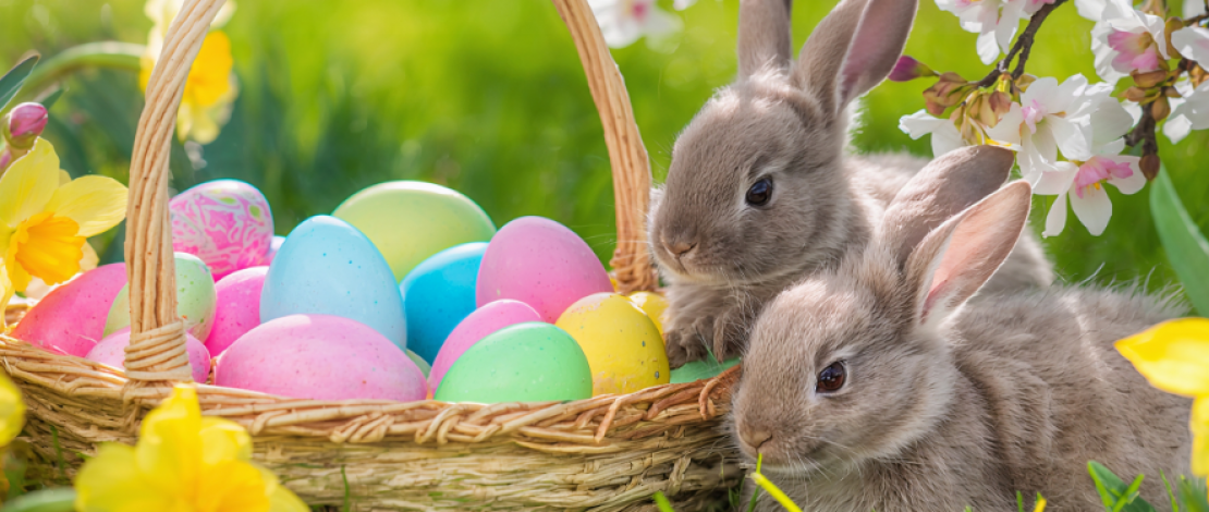 4.2.26 - Easter 2026_ Resurrection, Renewal, and Yes… the Bunny Too